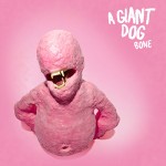 a-giant-dog-bone